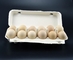 Роторная формируя машина подноса яйца, машина делать коробки яйца длинный срок службы