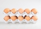 Автоматический поднос яйца делая производственную линию подносов упаковки яйца прессформы бумажной пульпы с конюшней выхода 700pcs/h подряд