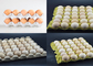 Большой повторно использованный емкостью тип Ротрай производственной линии подноса яйца пульпы энергосберегающий