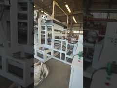 Роторная линия по производству лотков для яиц, производительность 2500-3000 шт/ч, формование 4+4 пресс-формы