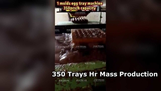 Машина для подносов для яиц 3000 шт./ч, массовое производство
