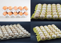 Компактная текстура машины подноса яйца макулатуры Семи автоматическая легкая работает