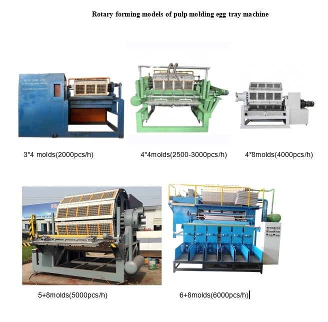 700-5000pcs/H Pulp Moulding Machines Steel Processing Egg Carton Manufacturing Device For Seamless Production (Пульпальная формовая машина для производства яиц)