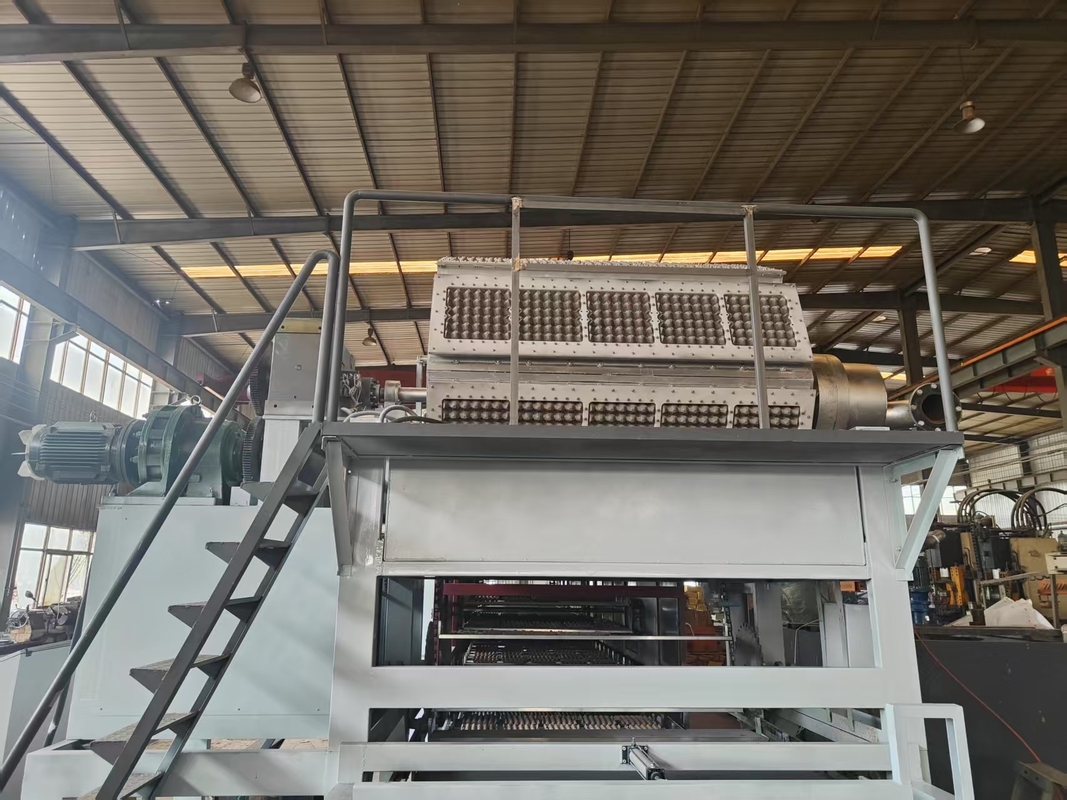 5*8 Molds Big Capacity Fully Automatic Egg Tray Packaging Machine / Pulp Molding Equipment / Egg Tray Production Line with PLC Control Touch Screen Panel