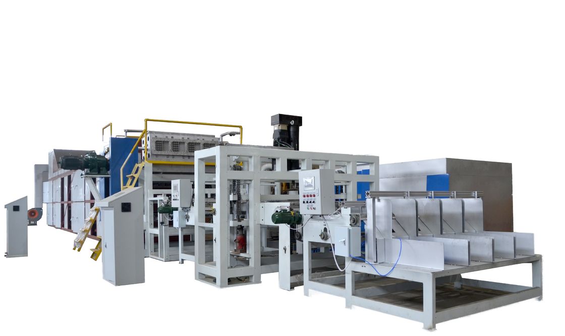 3000pcs/h 4+4 Molds Automatic Egg Tray Machine Production Line Using Recycled Paper Pulp to Create Various Types of Egg Trays and Cartons PLC Controlled