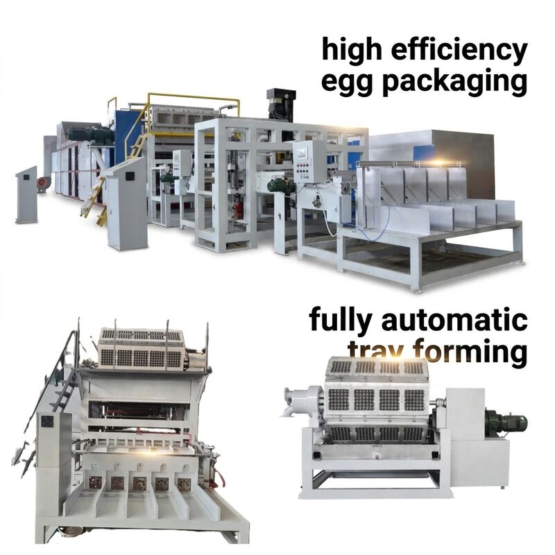 Egg Tray Making Machine with 10,000pcs/h Output, Automatic Stacking System and Recycled Paper Input for Efficient Paper Pulp Tray Production