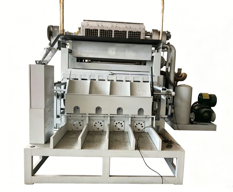 WANYOU WY-4 Rotary Egg Tray Forming Machine 2000-3000 pcs/h Recycled Paper Pulp Molding for Albanian Poultry Farm