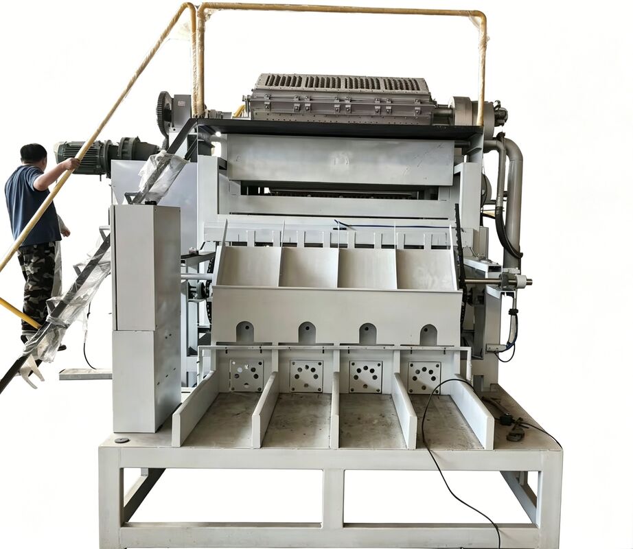 WANYOU WY-4 Rotary Egg Tray Forming Machine 2000-3000 pcs/h Recycled Paper Pulp Molding for Albanian Poultry Farm