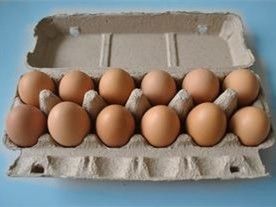 Линия производства картонных коробок для яиц роторного типа с управлением ПЛК, машина для изготовления картонных коробок для яиц, формовочная машина для лотков для яиц