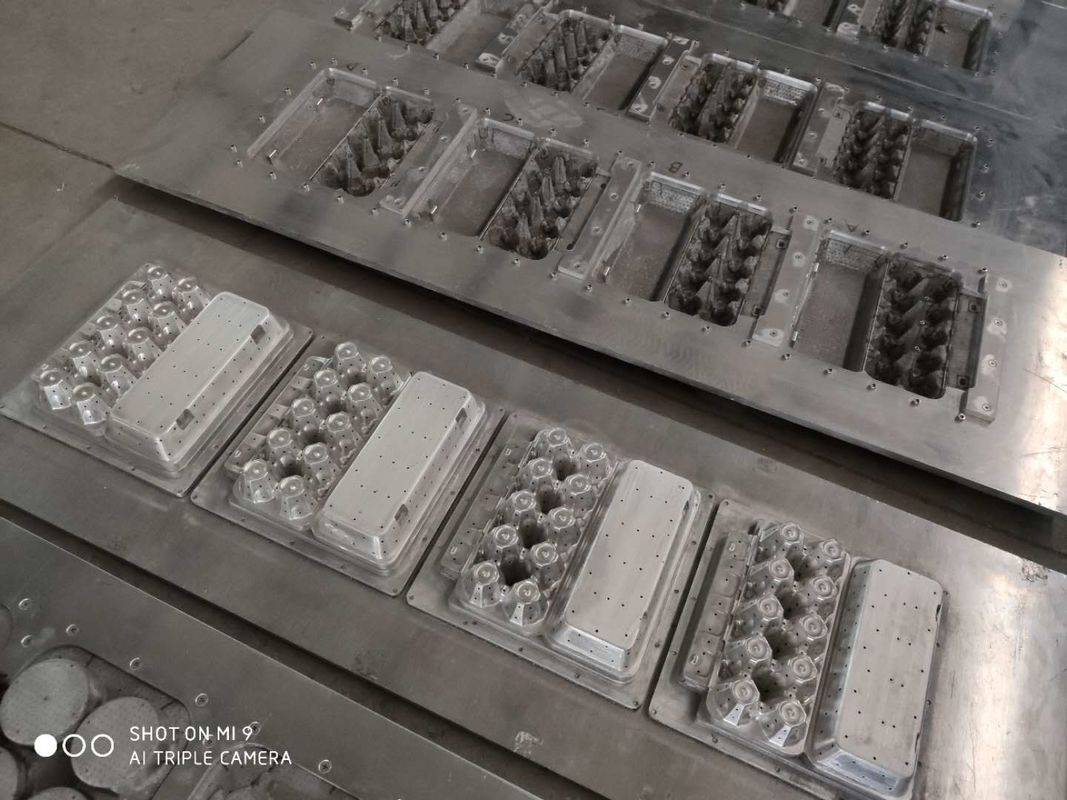 Бумажная целлюлозная форма полости машины 20 подноса яйца для отлитых в форму продуктов пульпы