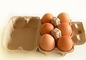 Коробка яйца подноса яйца 2 прессформ делая машину с сушильщиком металла