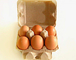 Подгонянные популярные 6 отверстиям ег машина коробки яйца производственной линии подноса яйца коробки